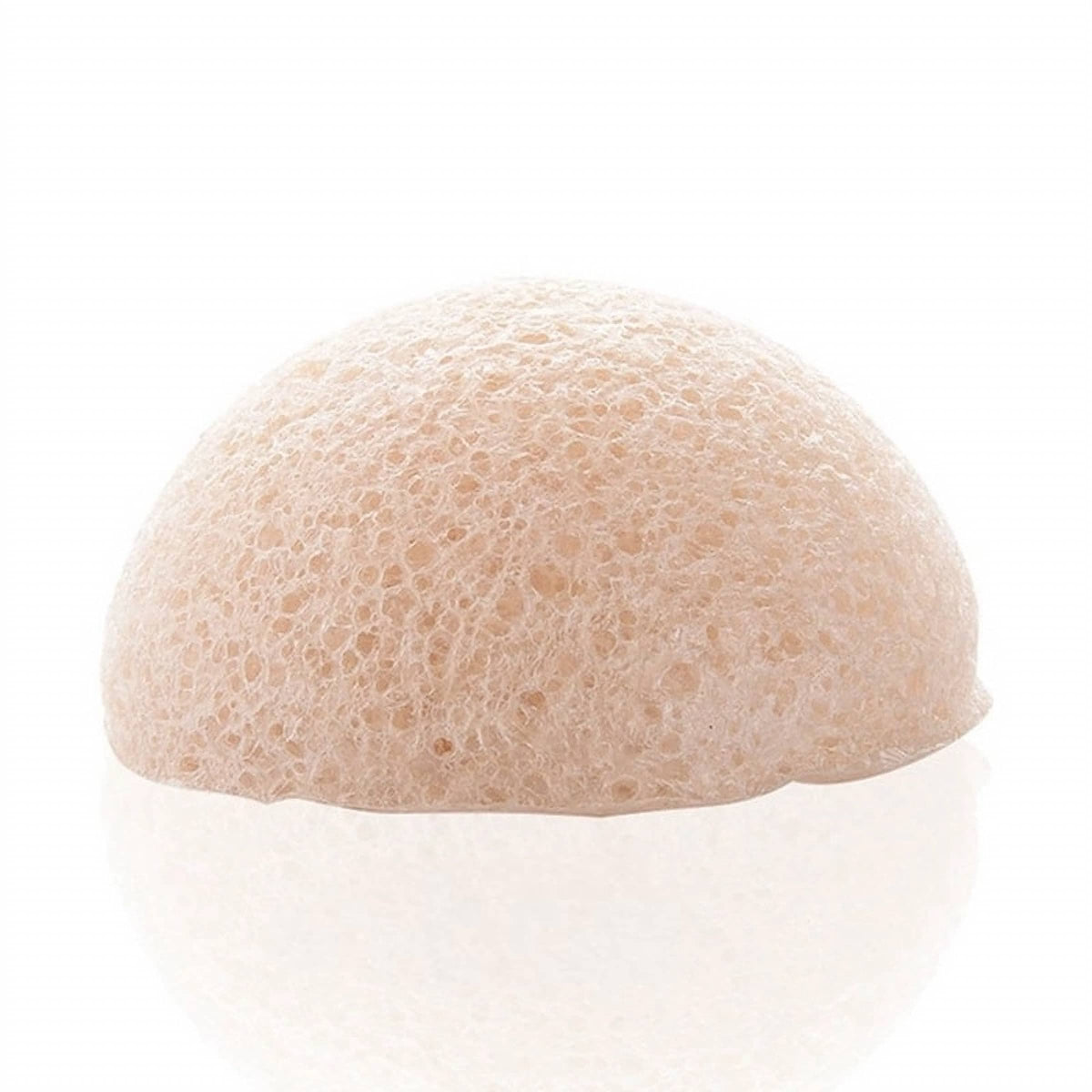 Konjac Facial Sponge | Natural Plant Fiber